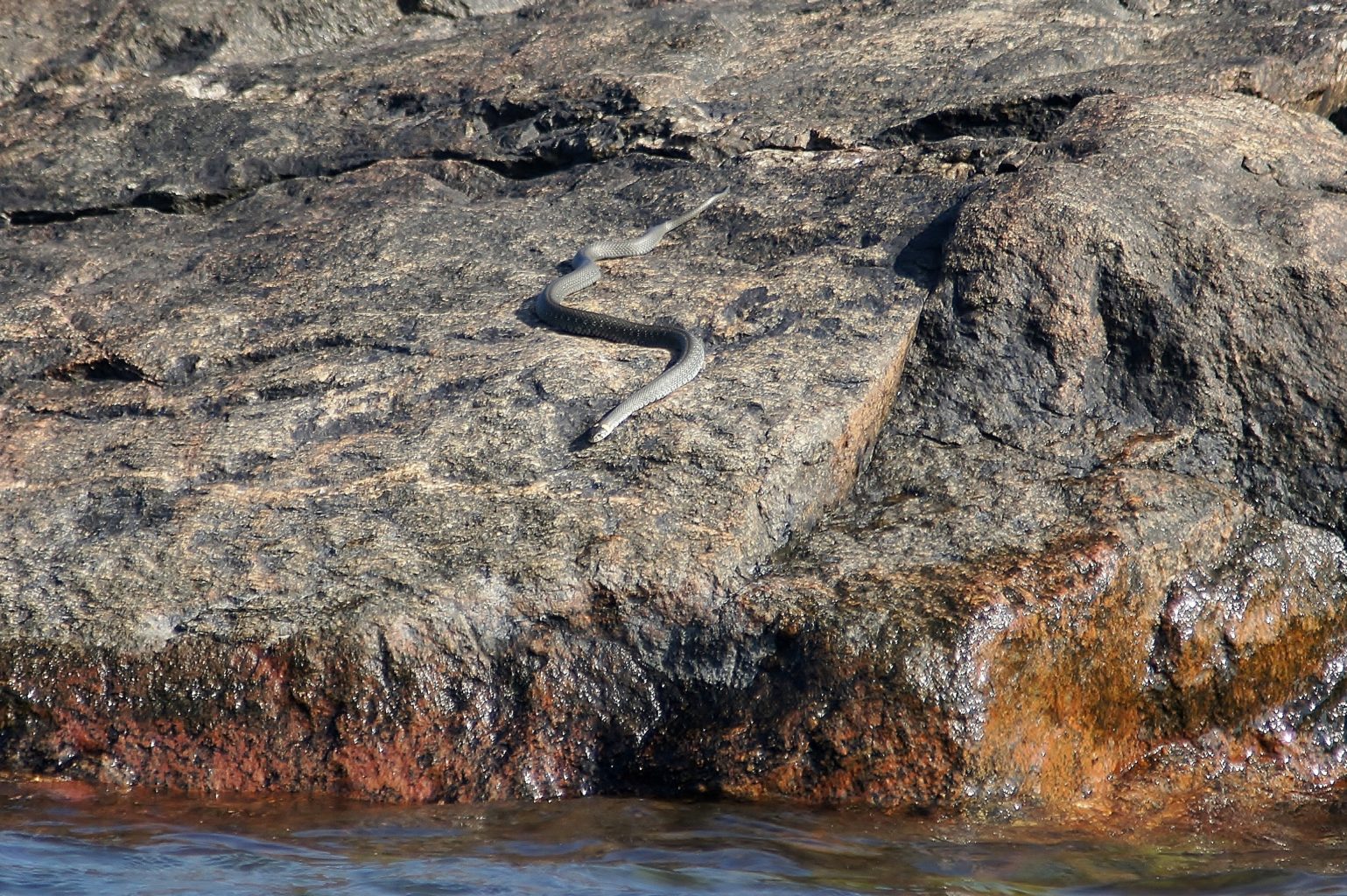 Valokuvaaja: Tuulikki Piikkilä