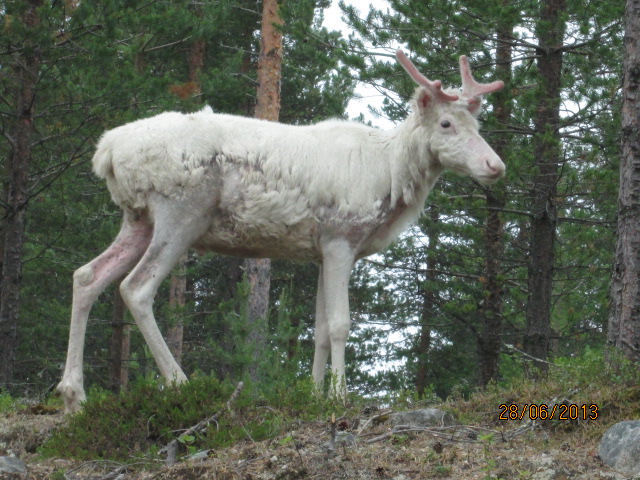 Valokuvaaja: Tuula Makkonen