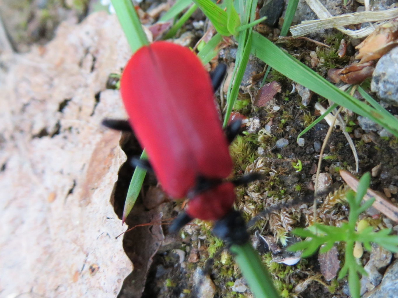 Valokuvaaja: Mirka Tumppila