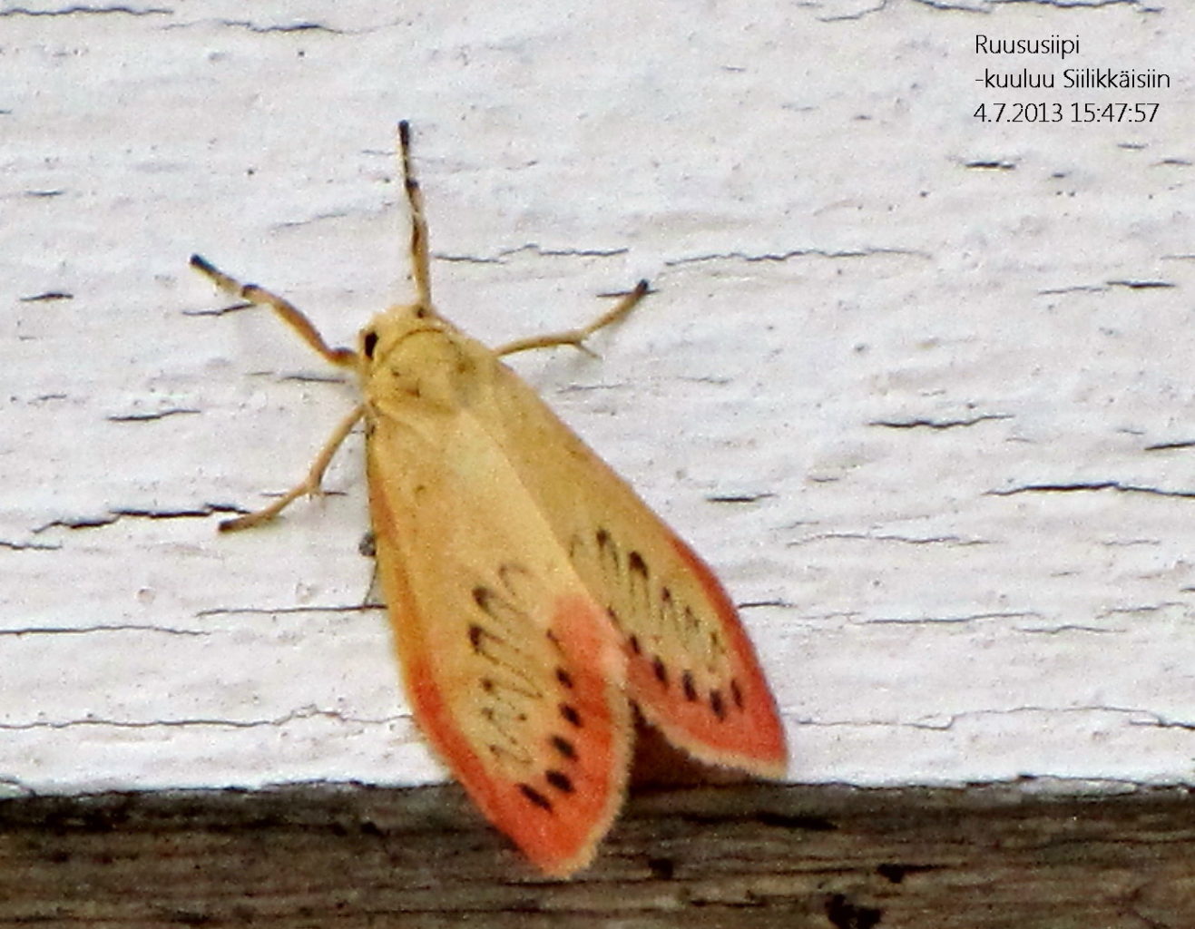 Valokuvaaja: Tuula Makkonen