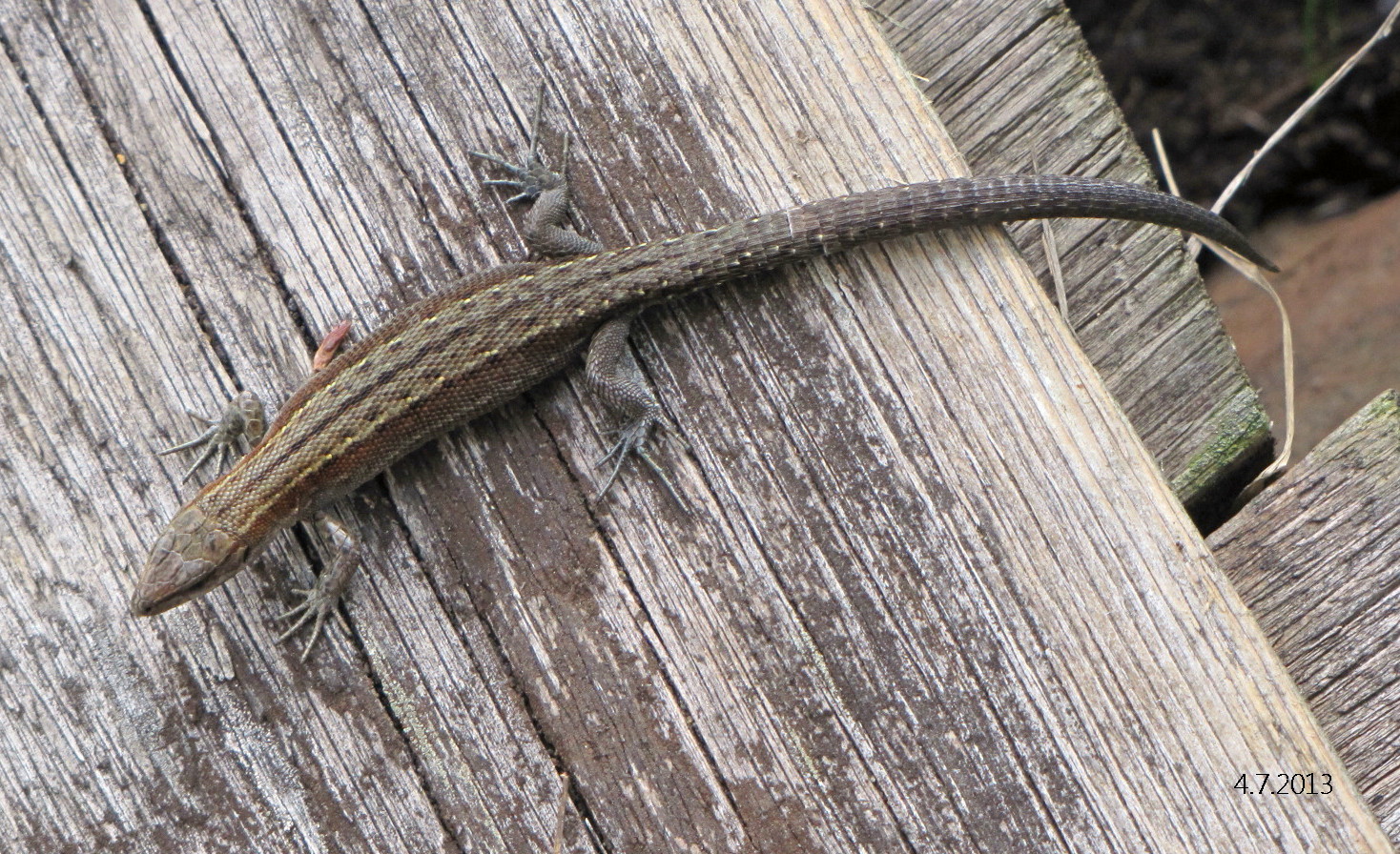 Valokuvaaja: Tuula Makkonen