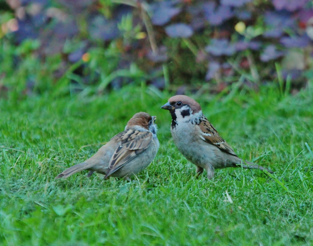 Valokuvaaja: Tuula Pirnes