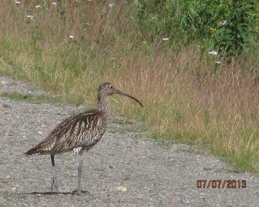 Valokuvaaja: Tuula Makkonen