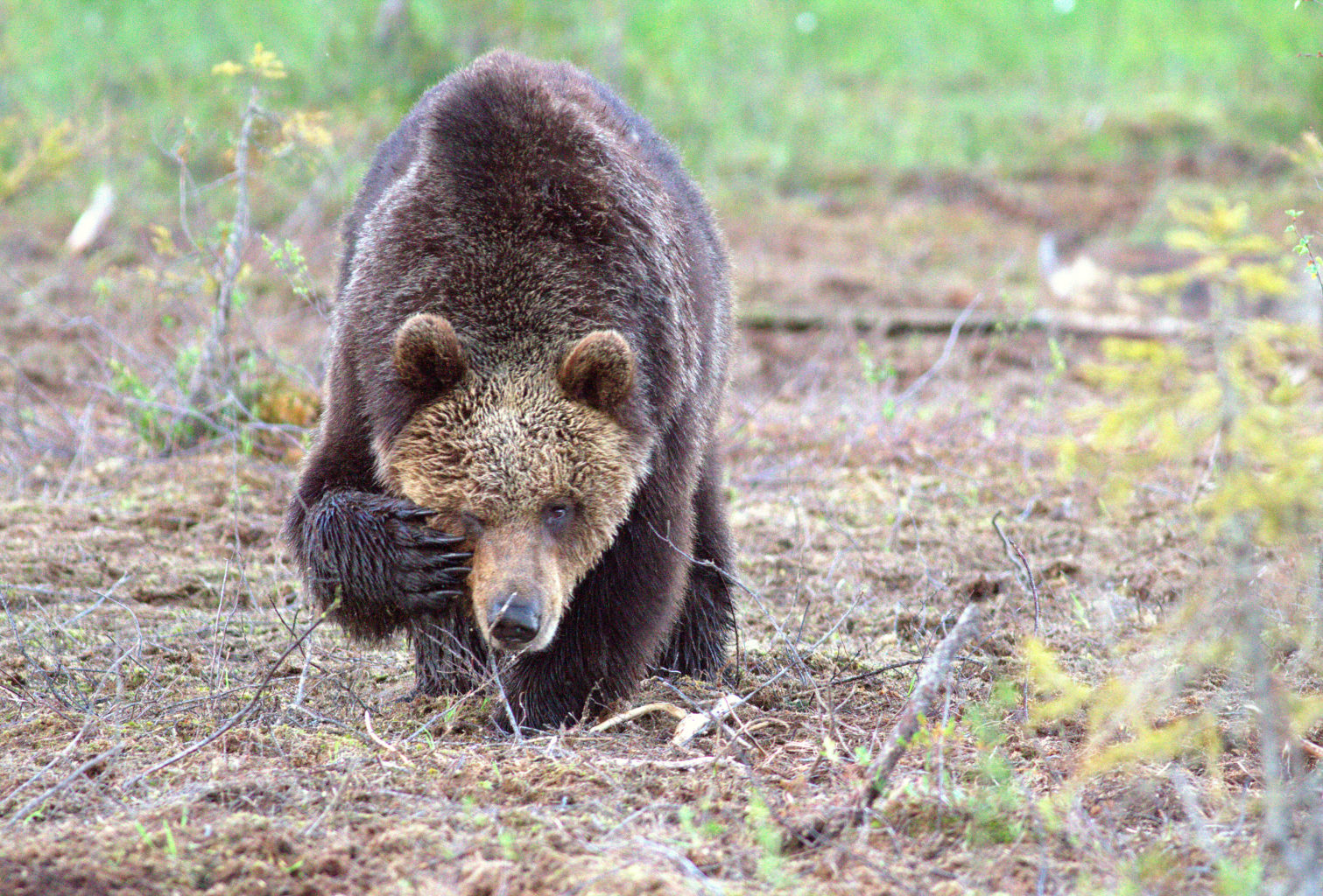 Valokuvaaja: Henrikki Hetemaa