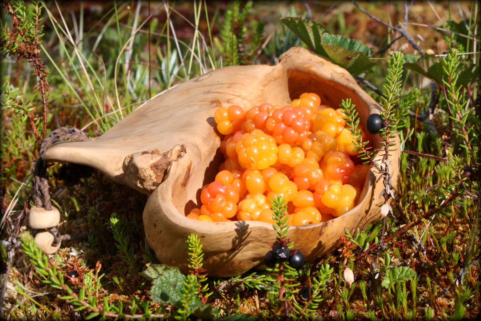 Valokuvaaja: Minna Jakosuo