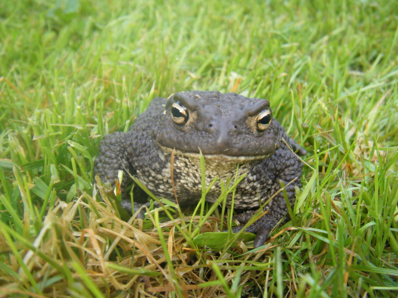 Valokuvaaja: Anne Kallila Valokuvaaja: Anne Kallila