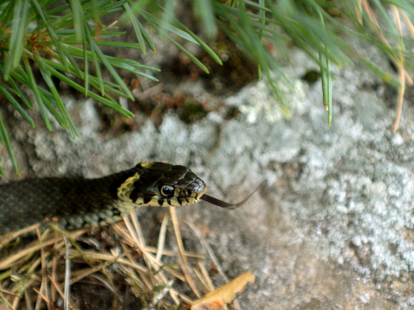 Valokuvaaja: Ulla Kelavuori