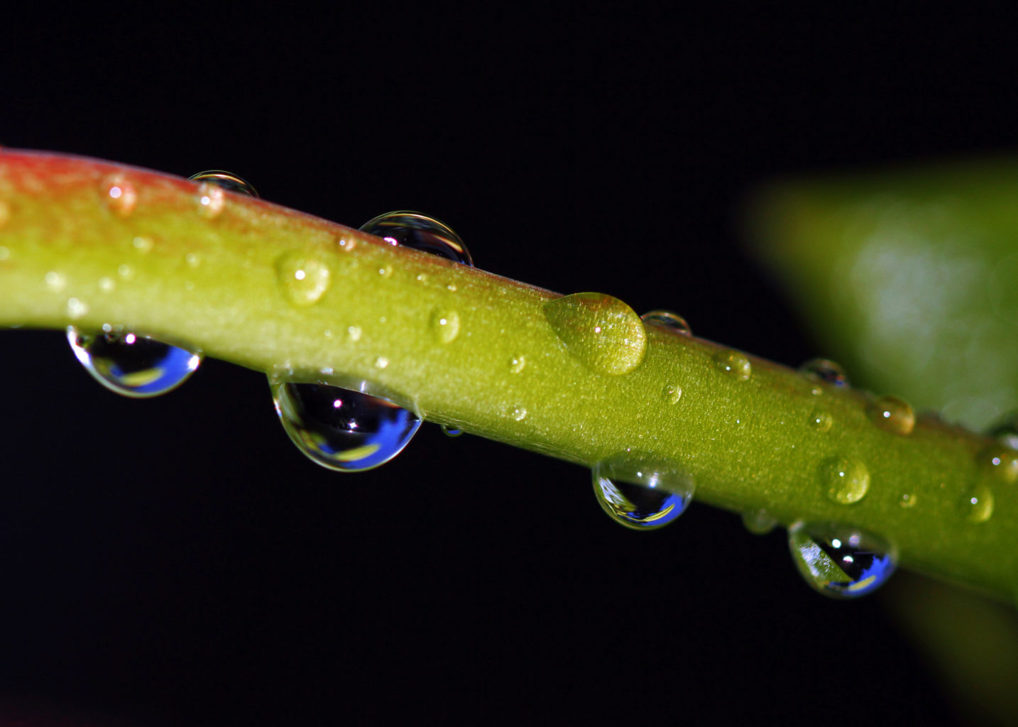 Valokuvaaja: Satu Mali