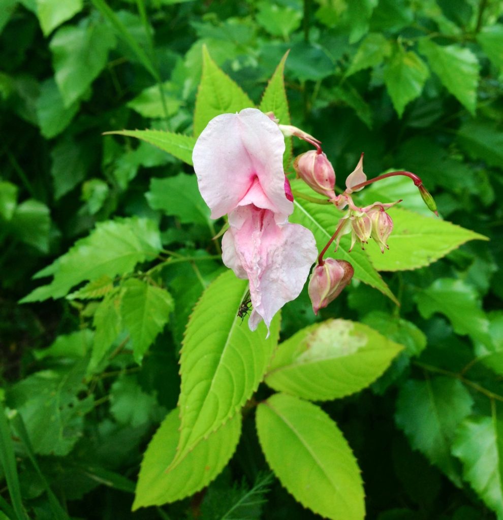 Valokuvaaja: Heidi Voutilainen