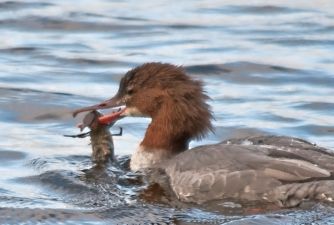 Valokuvaaja: Tuula Laakso