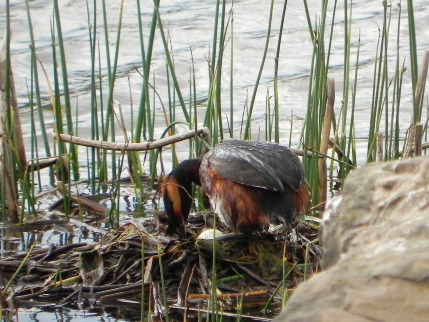 Valokuvaaja: Maritta Hakola