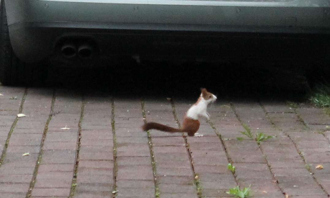 Valokuvaaja: Sirpa Louevuo