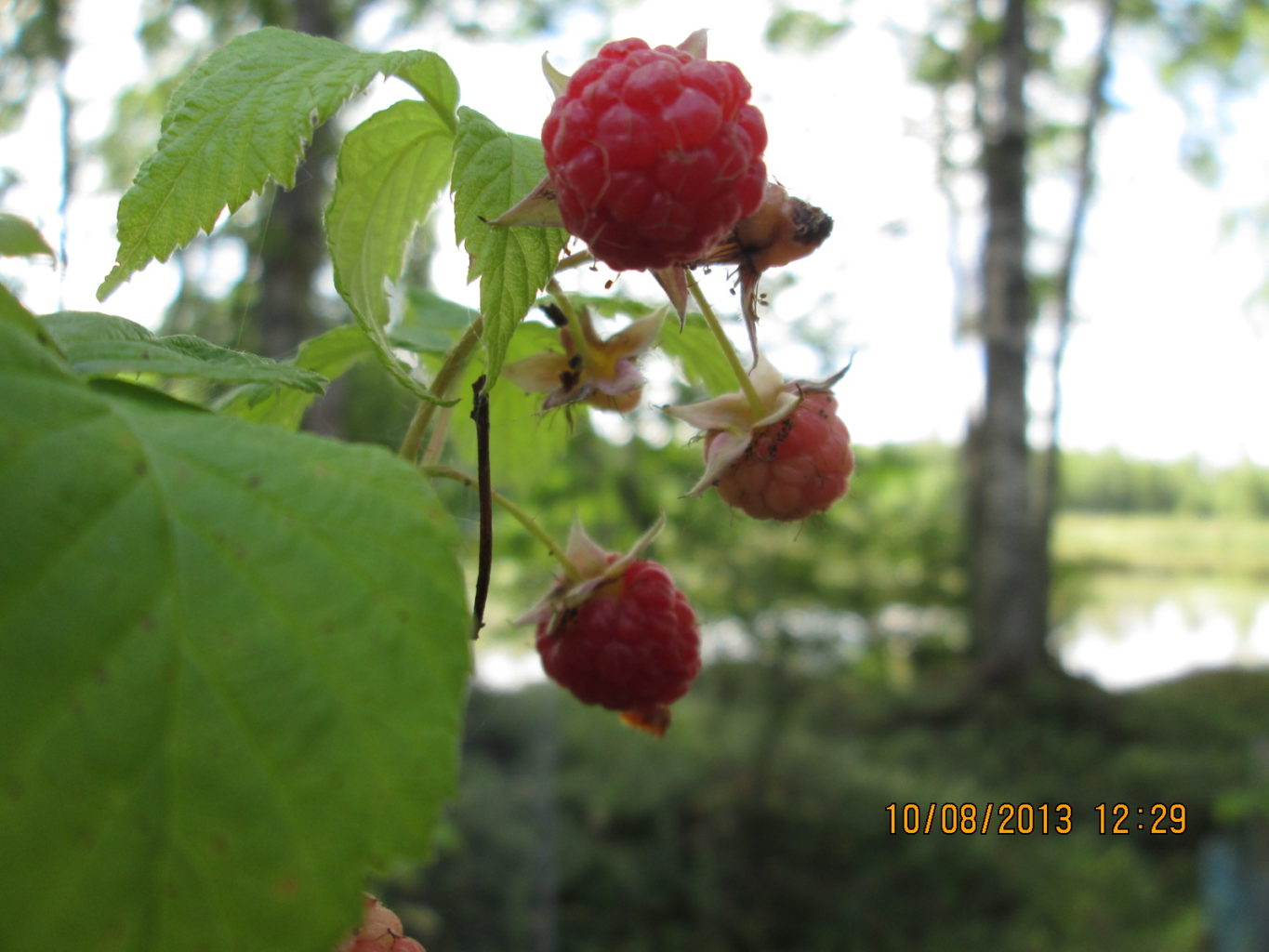 Valokuvaaja: Samu Kähtävä