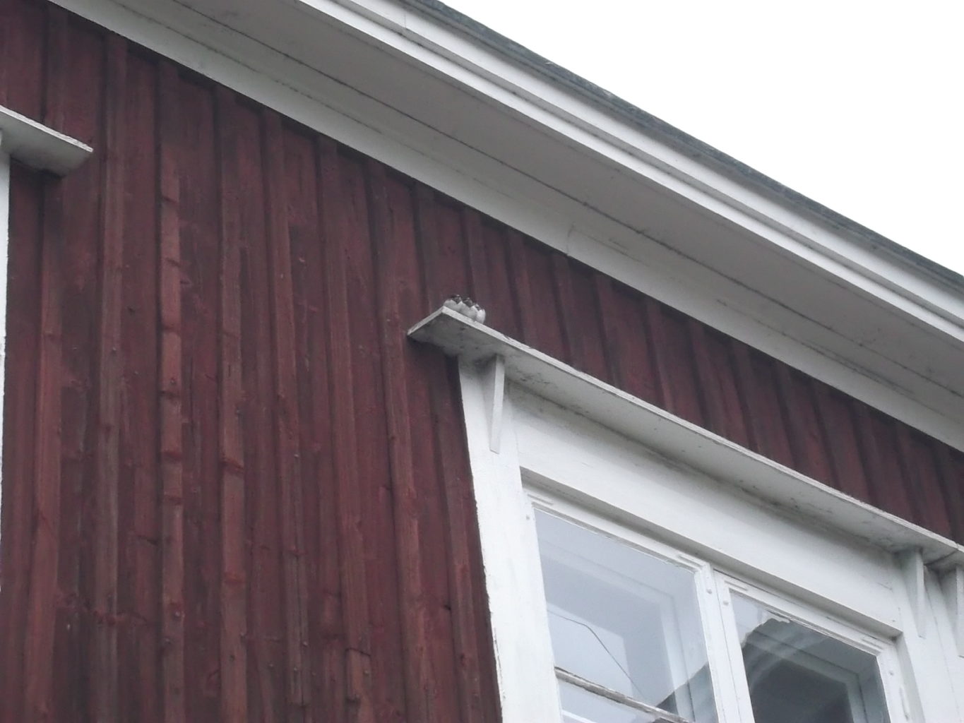 Valokuvaaja: Heli Heiniö