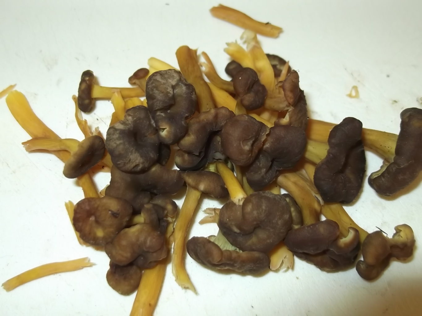 Valokuvaaja: Heli Heiniö