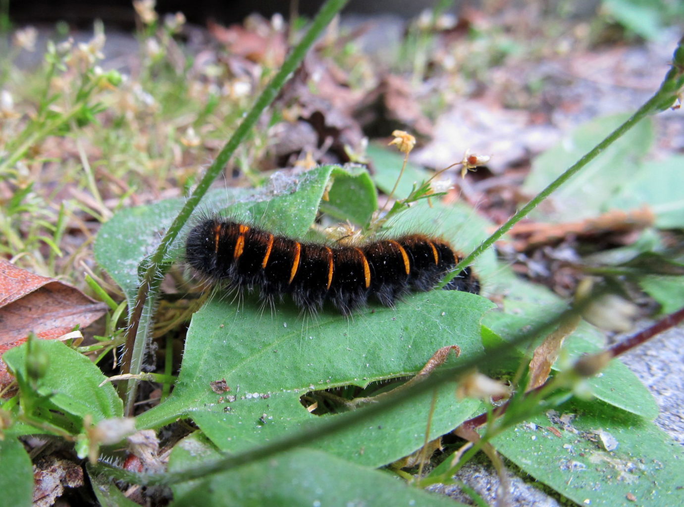 Valokuvaaja: Jaana Talvinen