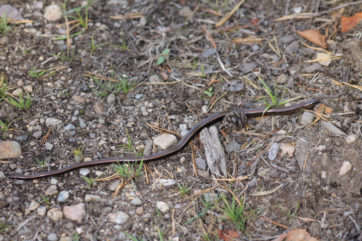 Valokuvaaja: Eija Vehmas