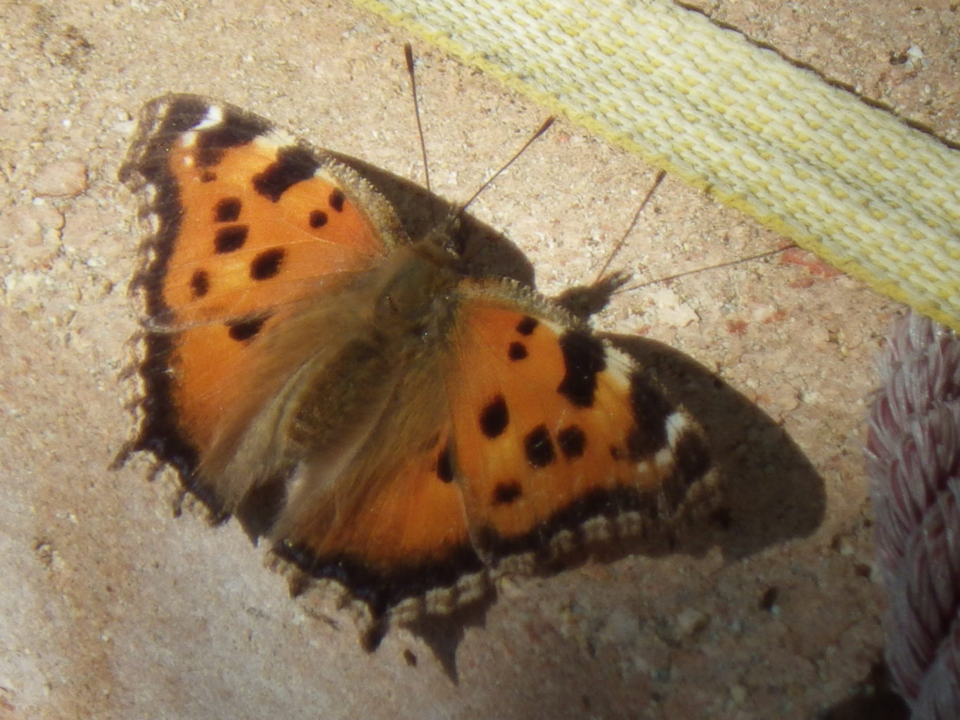 Valokuvaaja: Heli Jutila