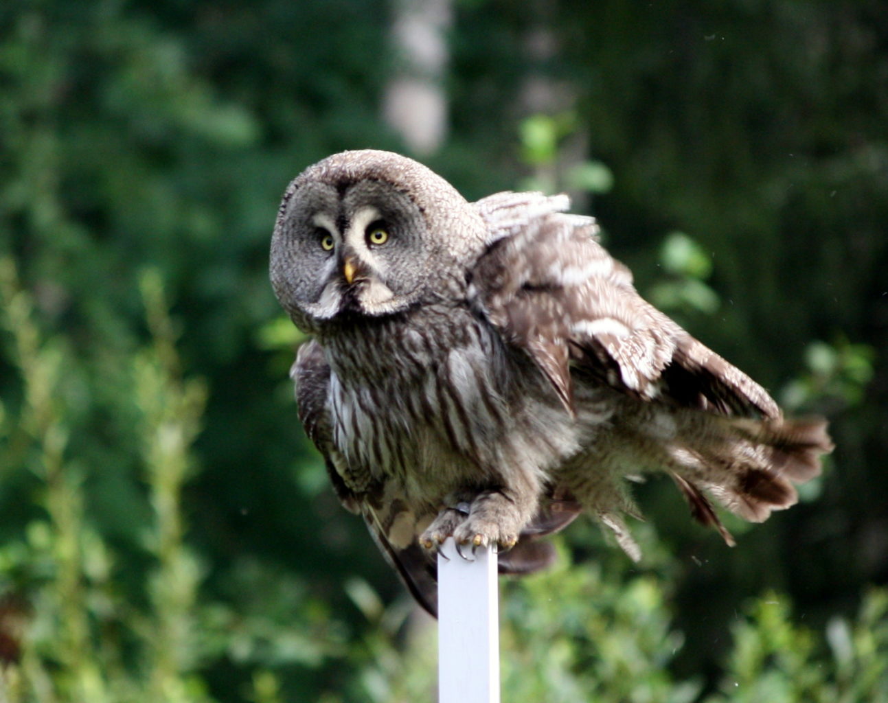 Valokuvaaja: Marjo Kaisko