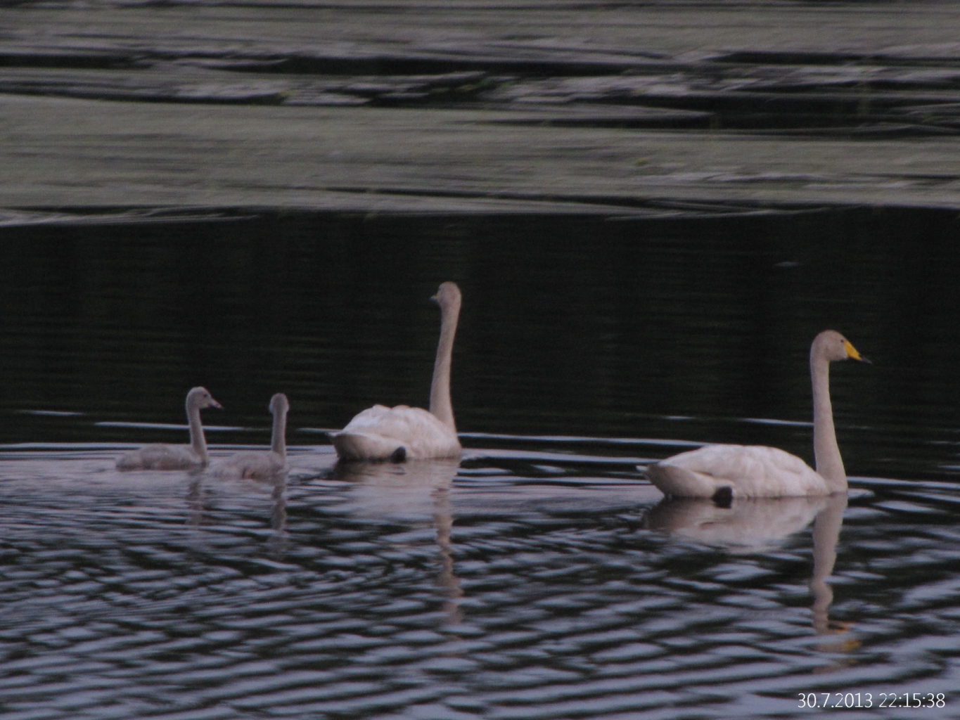 Valokuvaaja: Tuula Makkonen