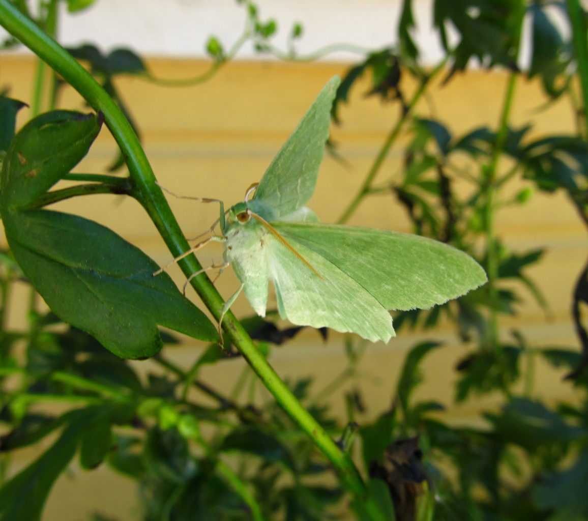 Valokuvaaja: Jaana Talvinen