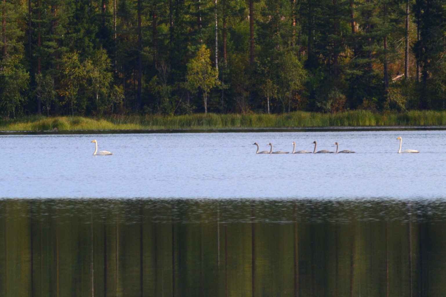 Valokuvaaja: Kalle Asikainen Valokuvaaja: Kalle Asikainen