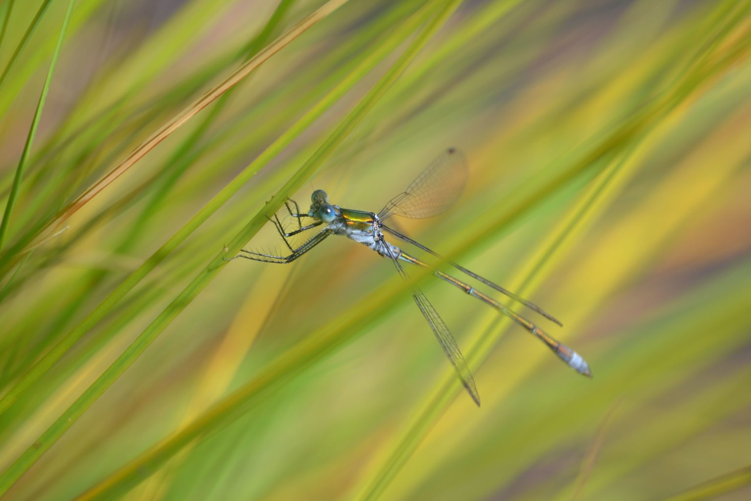 Valokuvaaja: Noora Andersson