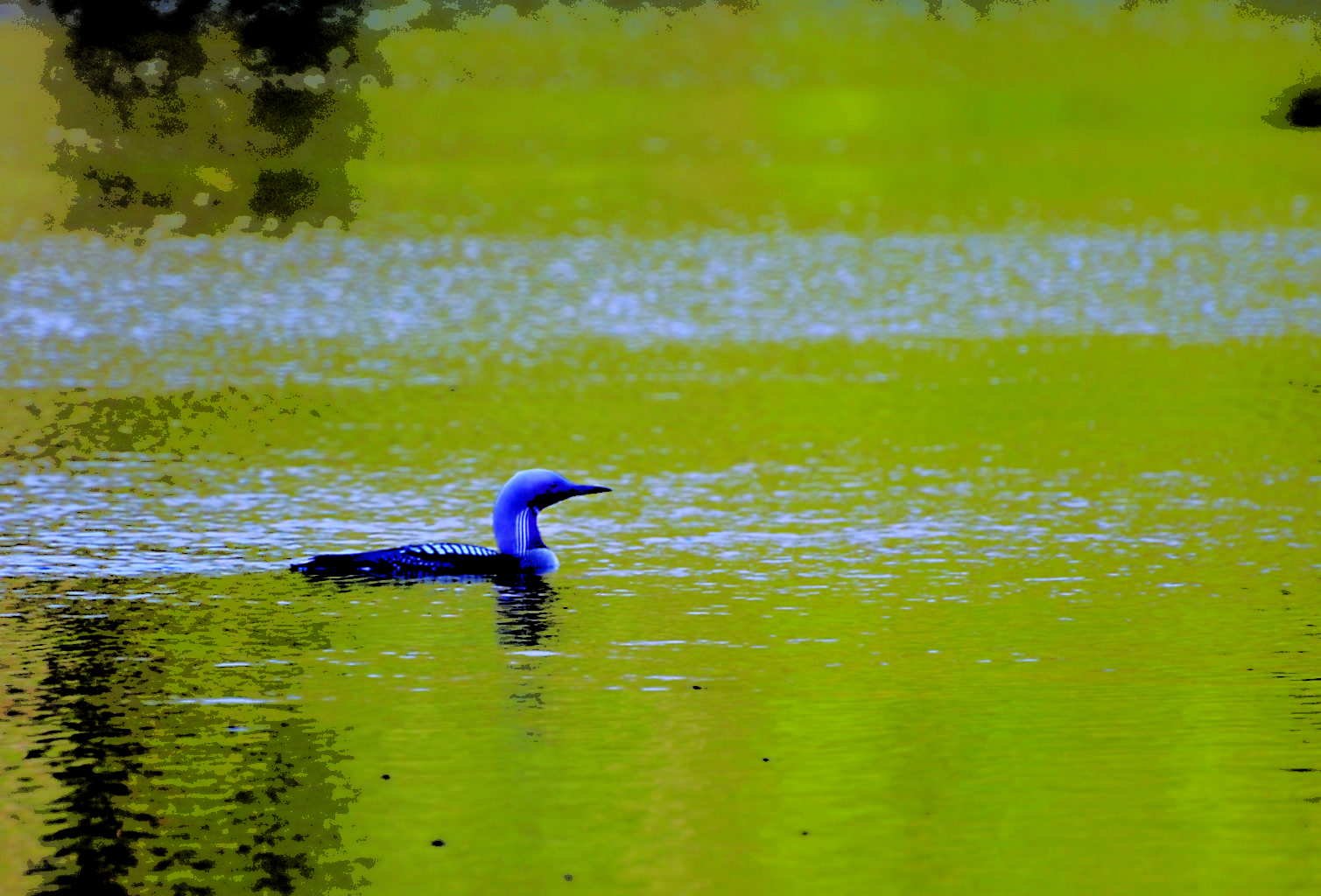 Valokuvaaja: Ville Kuitunen