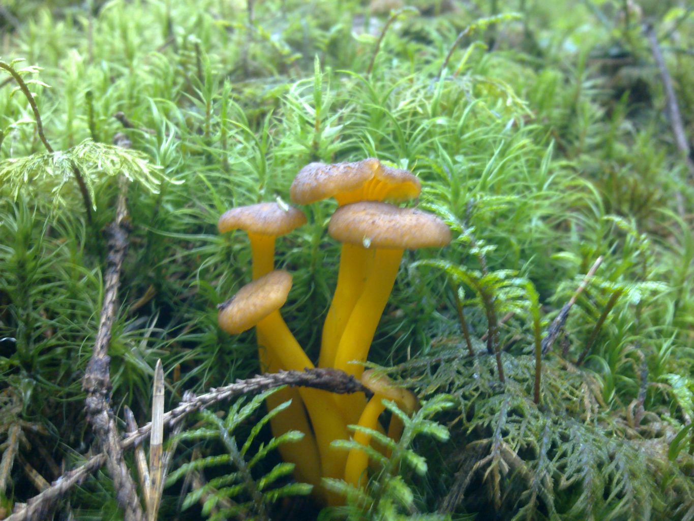 Valokuvaaja: Kari Ruotsalainen