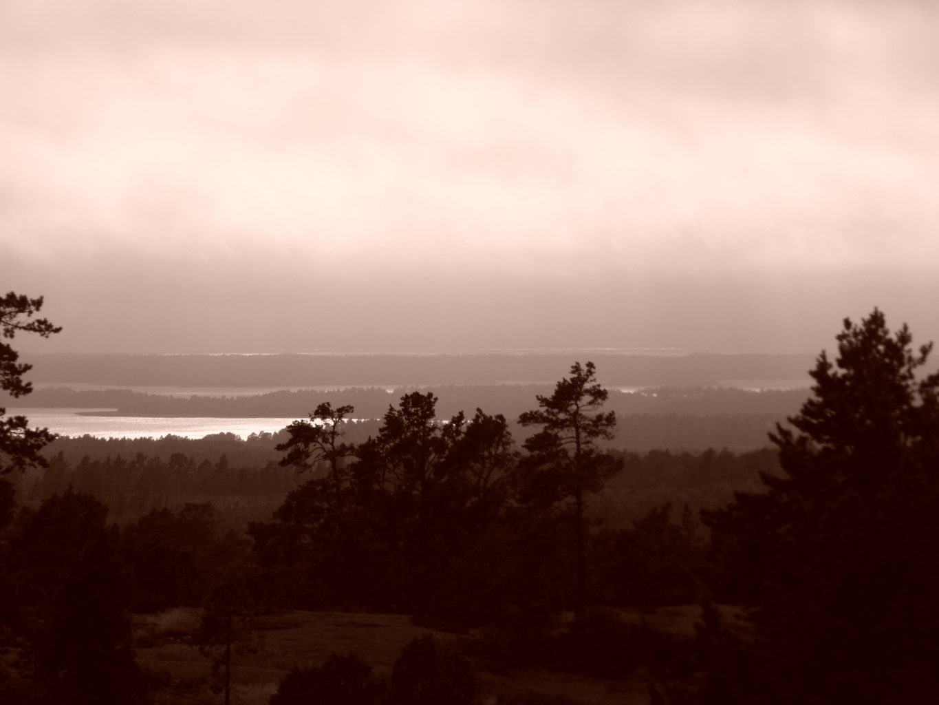 Valokuvaaja: Miisa Järvelä