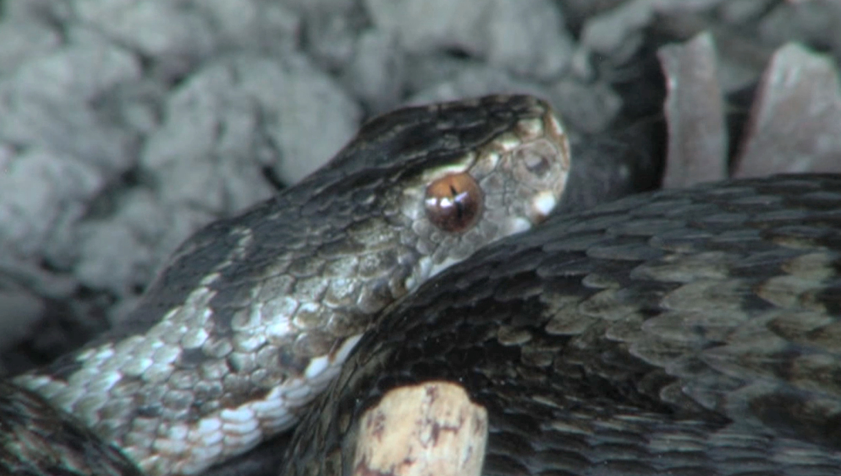 Valokuvaaja: Juha Huttunen