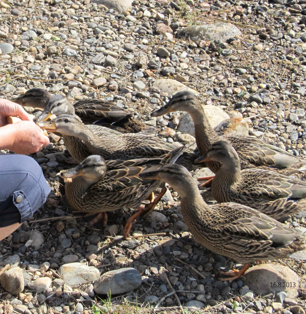 Valokuvaaja: Tuula Makkonen