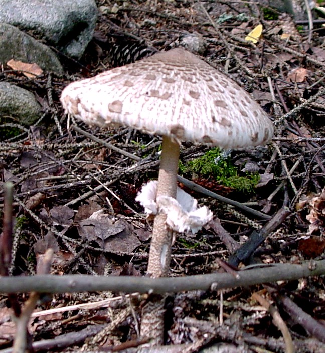 Valokuvaaja: Monika Riihelä