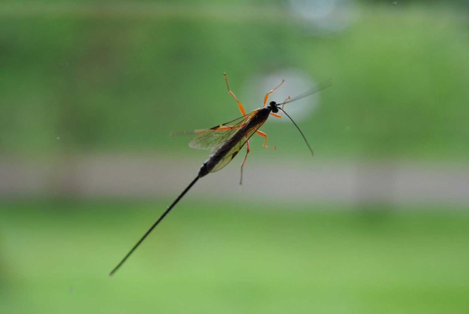 Valokuvaaja: Tuula Jaatinen