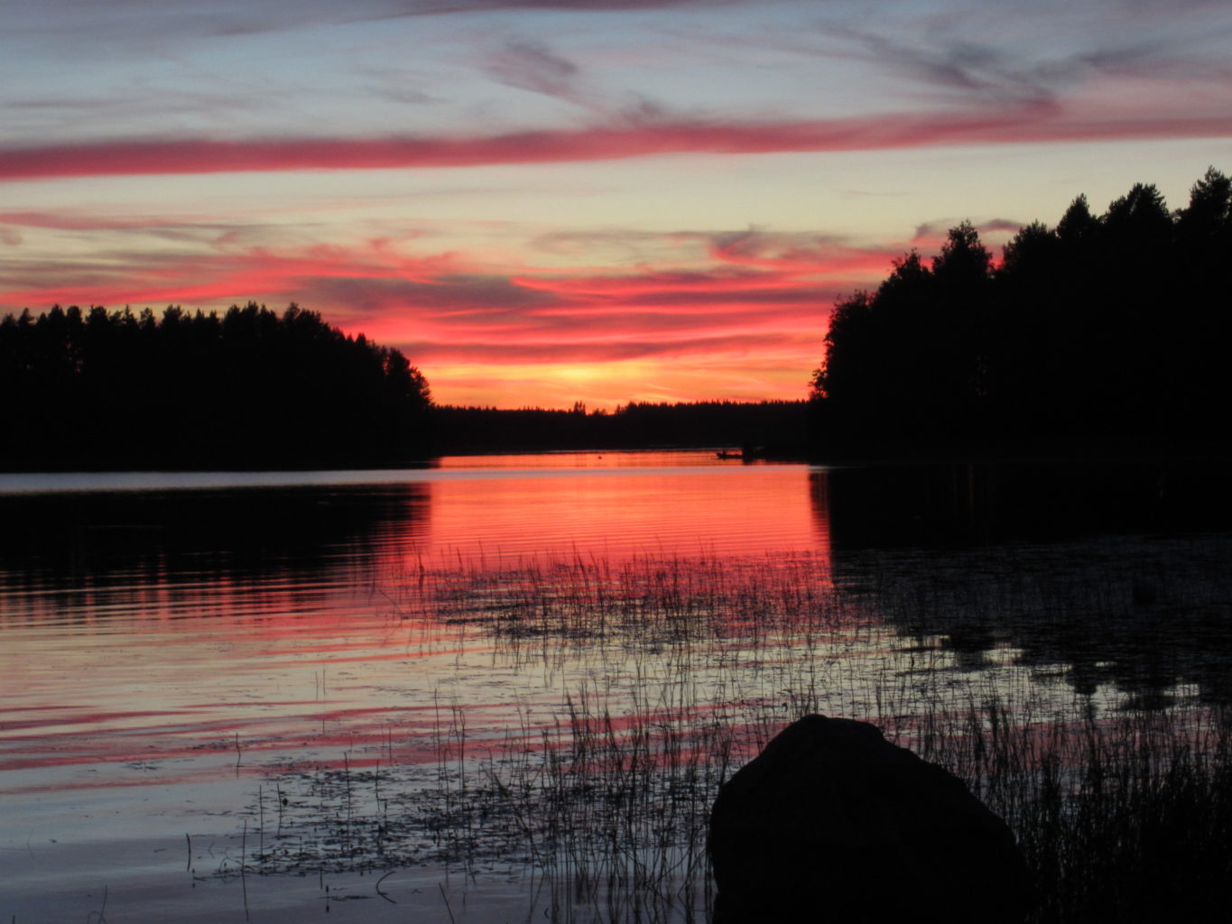 Valokuvaaja: kaija niemi Valokuvaaja: kaija niemi