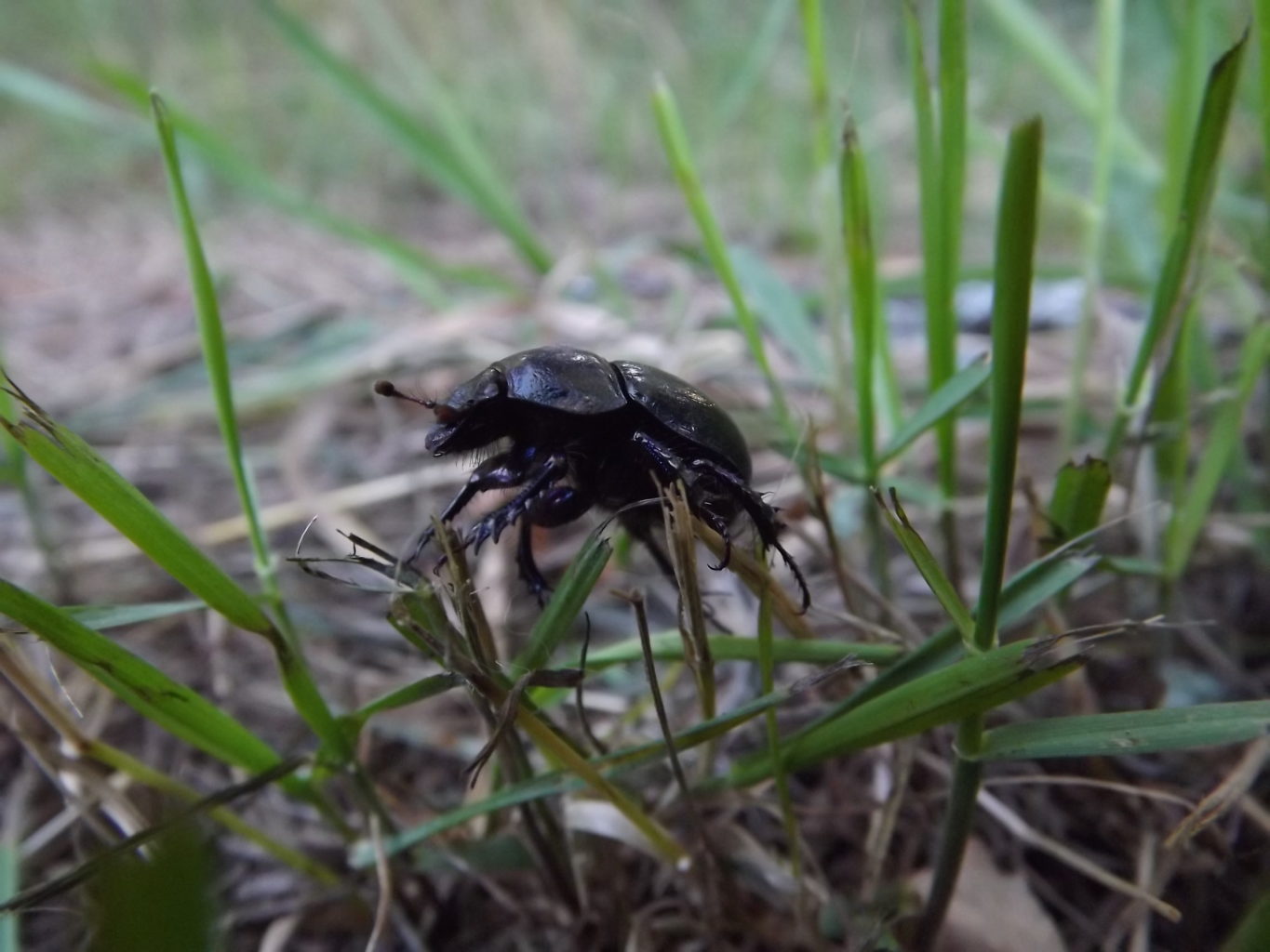 Valokuvaaja: Marianna Parkkonen