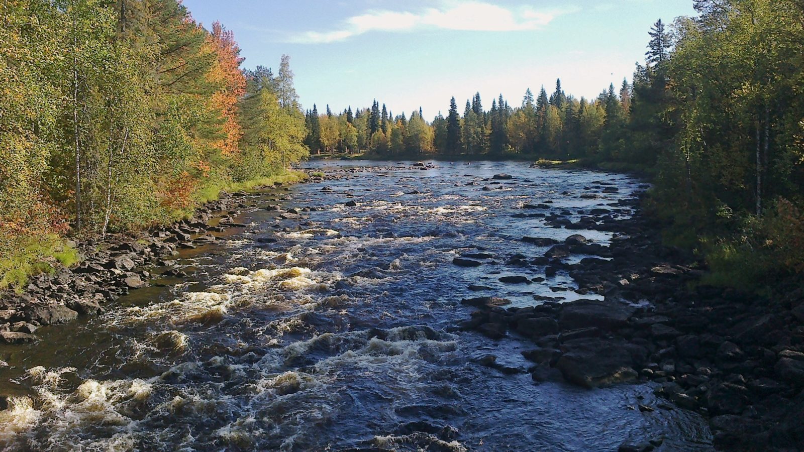 Valokuvaaja: Kaija Sälevä