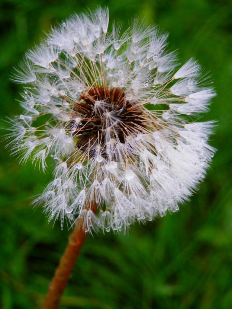 Valokuvaaja: Anu Keskitalo