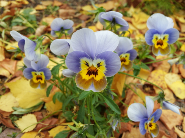 Valokuvaaja: Johanna Ylitalo