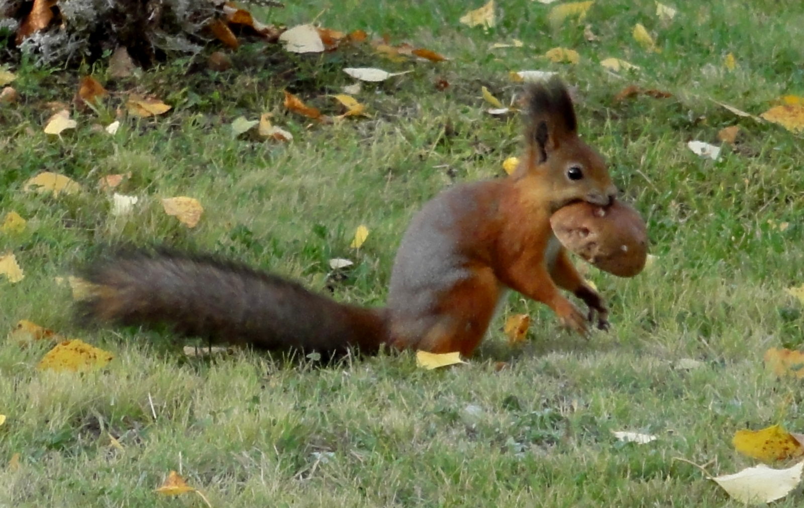 Valokuvaaja: Annaliisa Kaikkonen