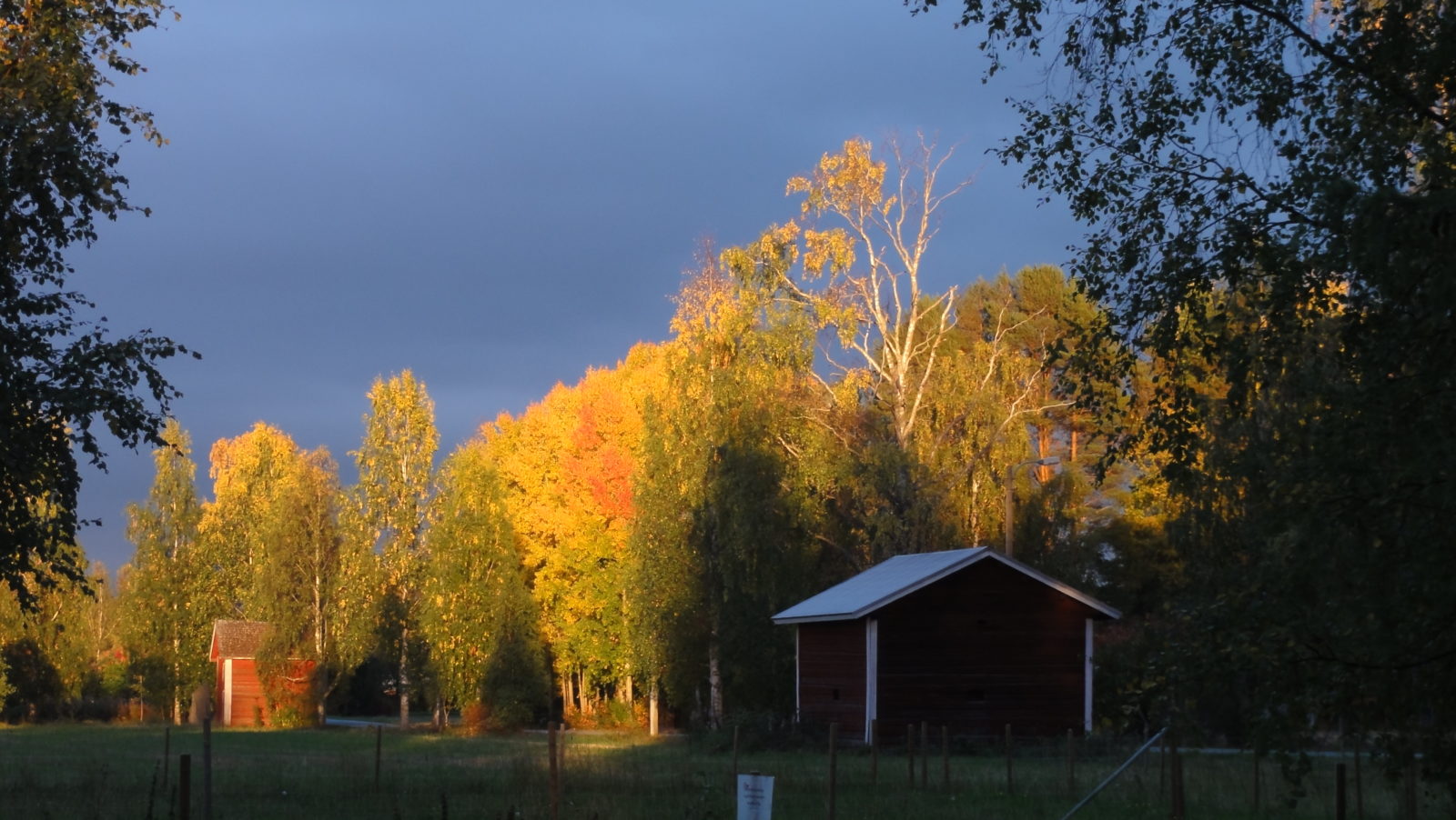 Valokuvaaja: Annaliisa Kaikkonen