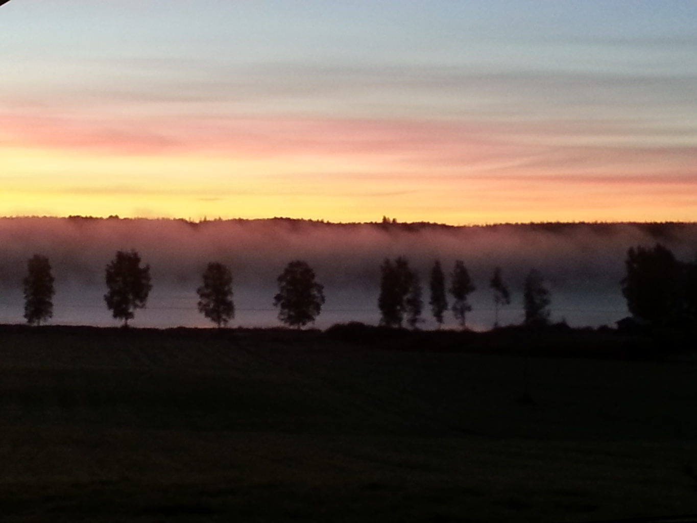 Valokuvaaja: Sanna Moilanen