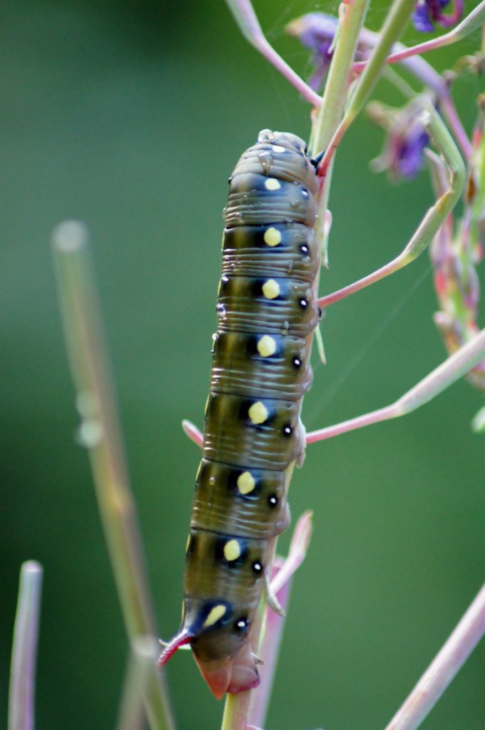 Valokuvaaja: Tuulikki Piikkilä