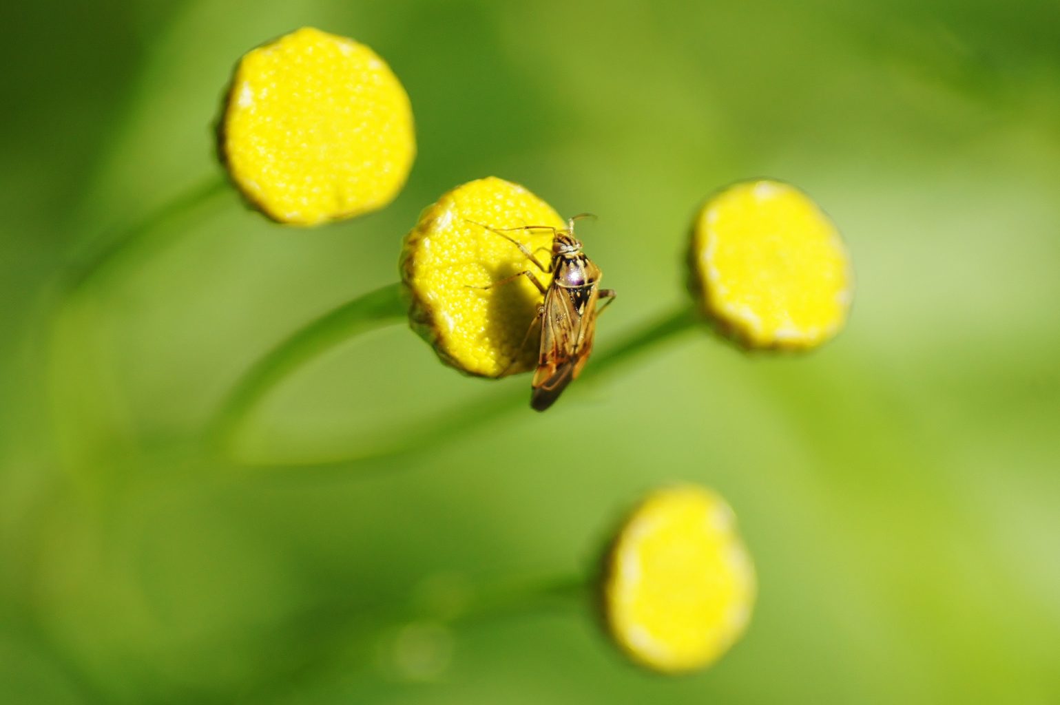 Valokuvaaja: Tuulikki Piikkilä