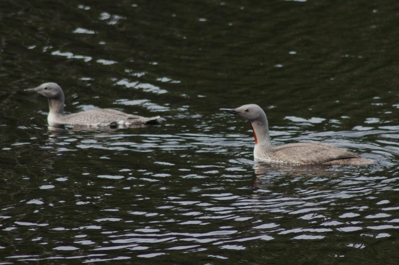 Valokuvaaja: Maarit Siitonen