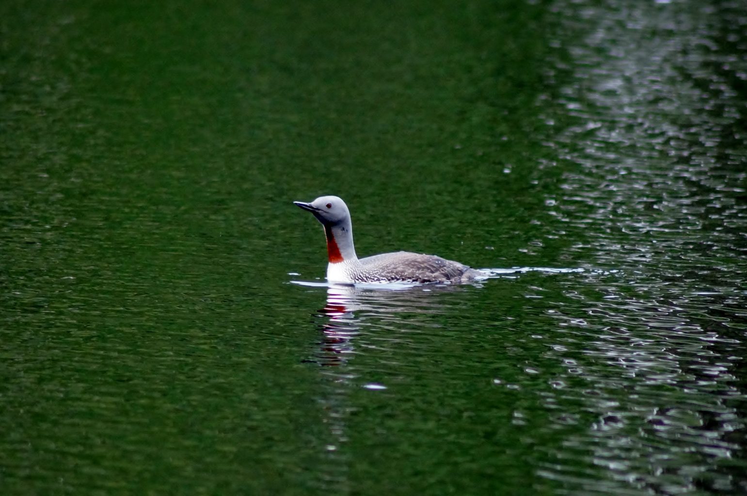 Valokuvaaja: Maarit Siitonen