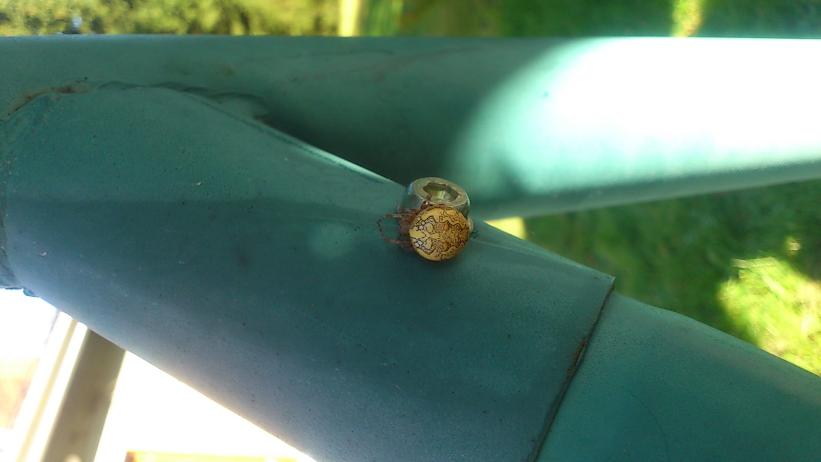 Valokuvaaja: Ulla-Maija Poukkula