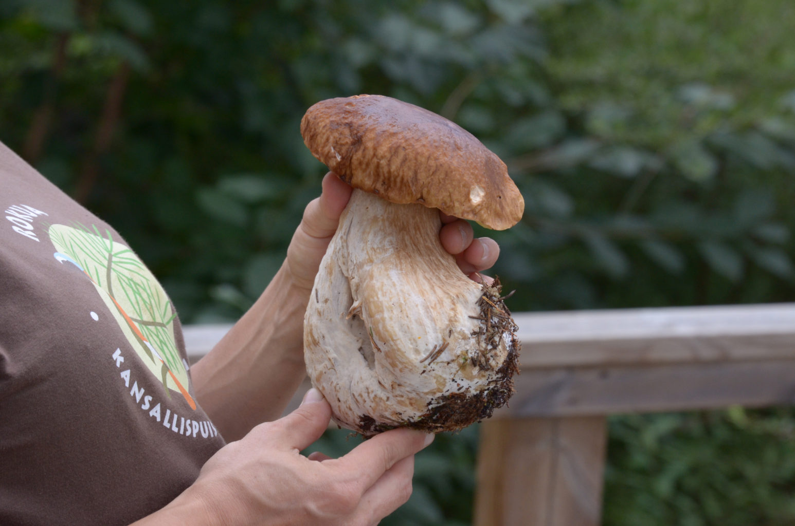 Valokuvaaja: Joni Sundström