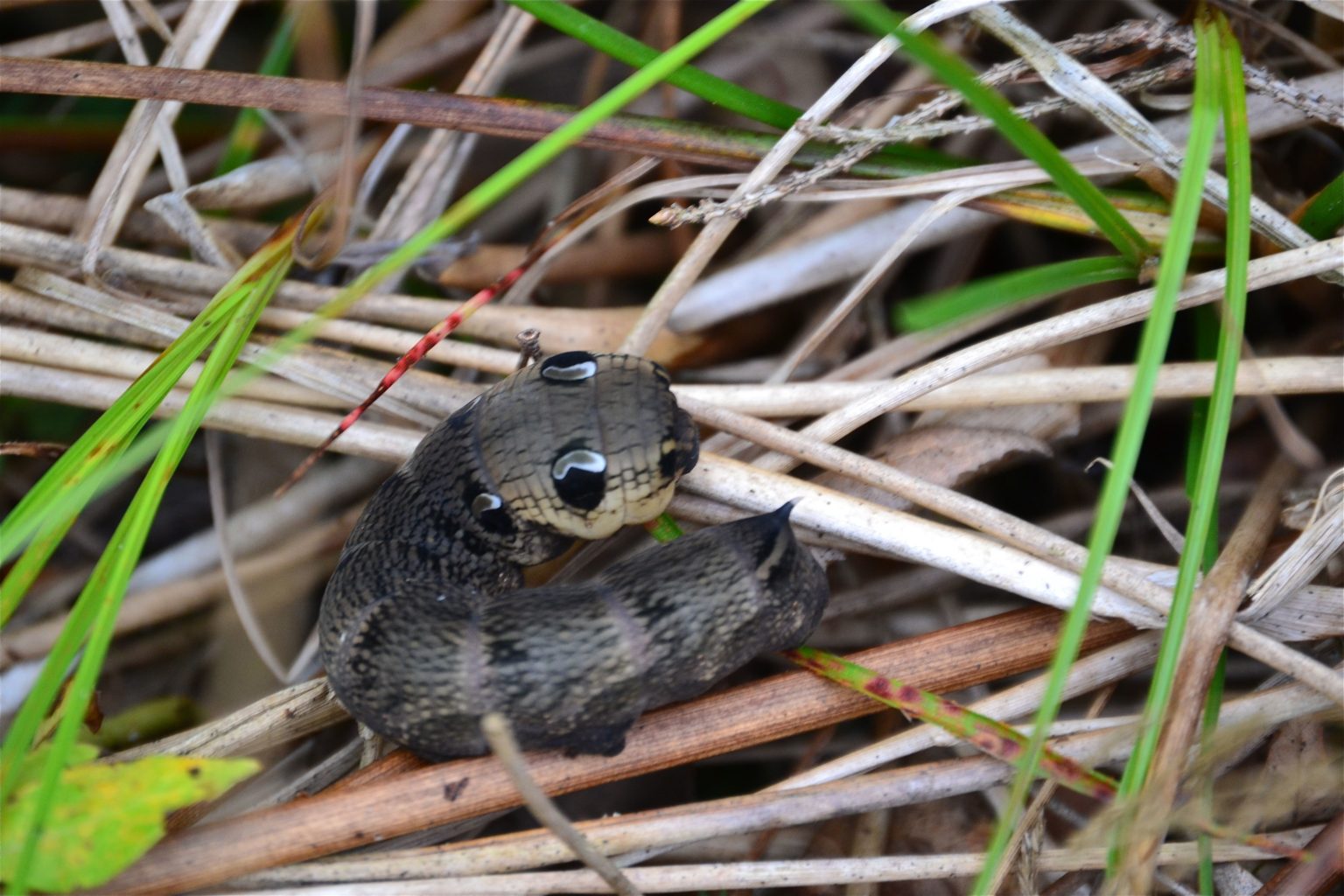 Valokuvaaja: Noora Andersson