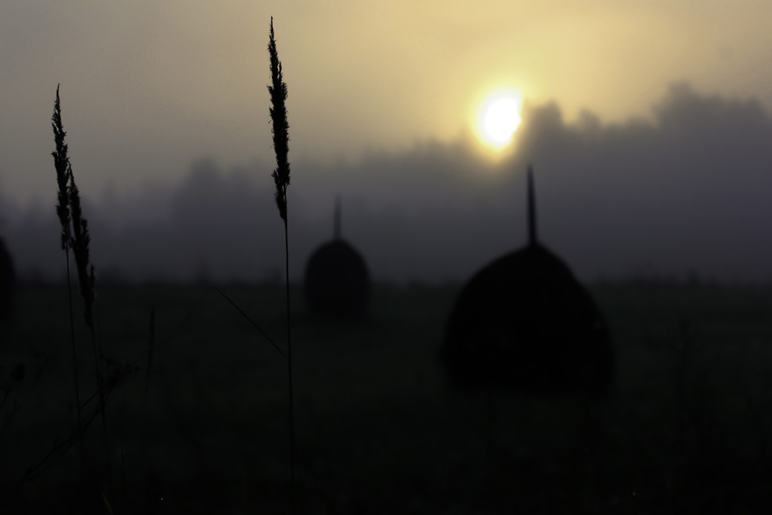 Valokuvaaja: Satu Mali